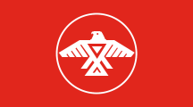 red, white thunderbird inside a white ring