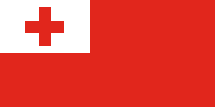 red, white canton, red cross